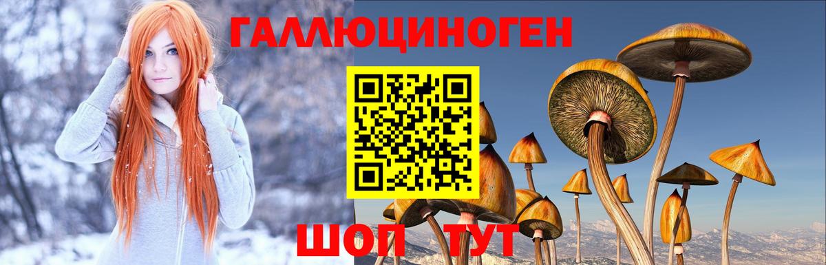 Галлюциногенные грибы Magic Shrooms Железногорск