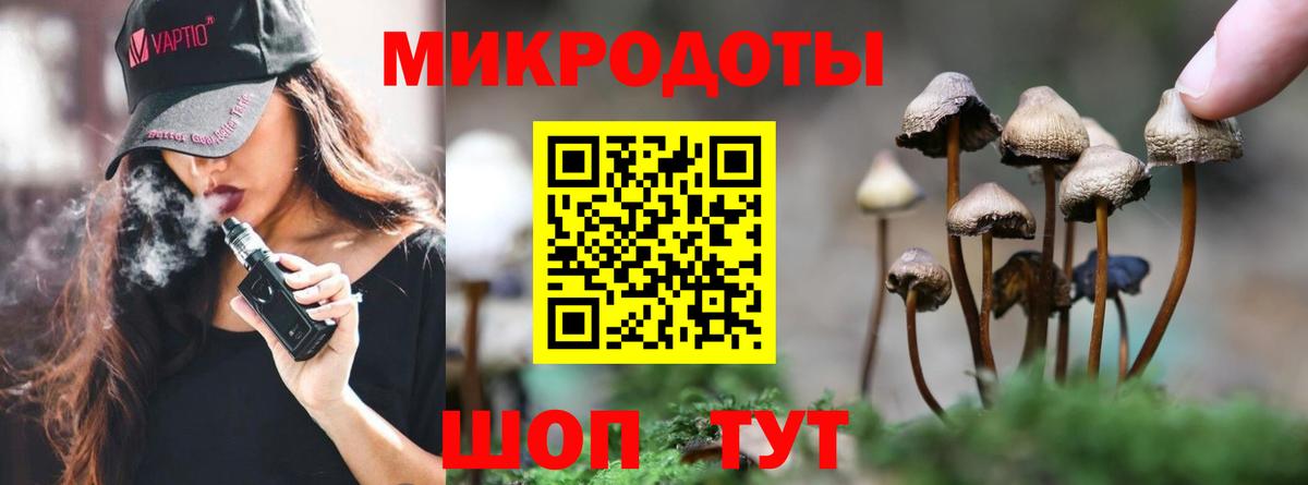 сколько стоит  Псилоцибиновые грибы Psilocybe  Псилоцибиновые грибы GOLDEN TEACHER  Вход с VPN  Железногорск 
